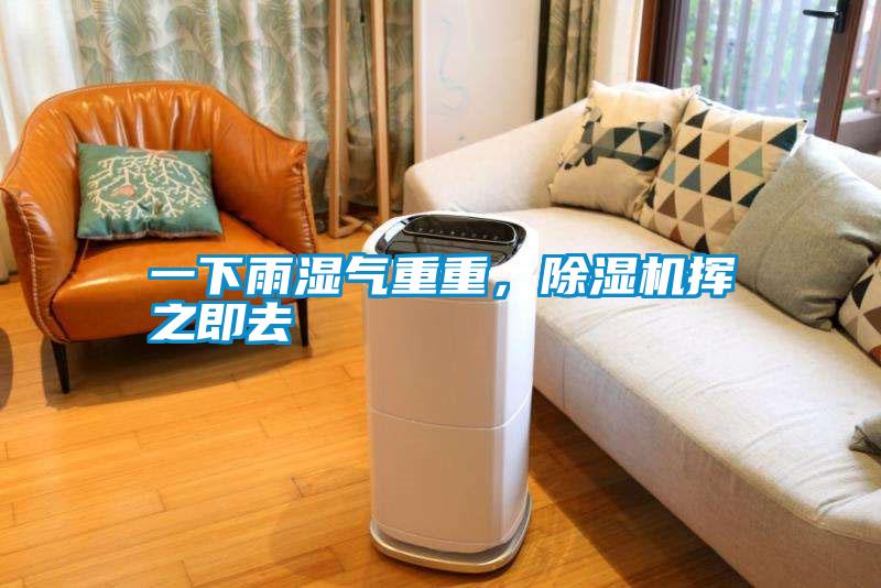 一下雨濕氣重重，除濕機(jī)揮之即去