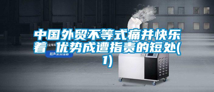 中國外貿不等式痛并快樂著 優勢成遭指責的短處(1)