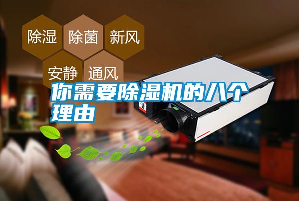 你需要除濕機的八個理由