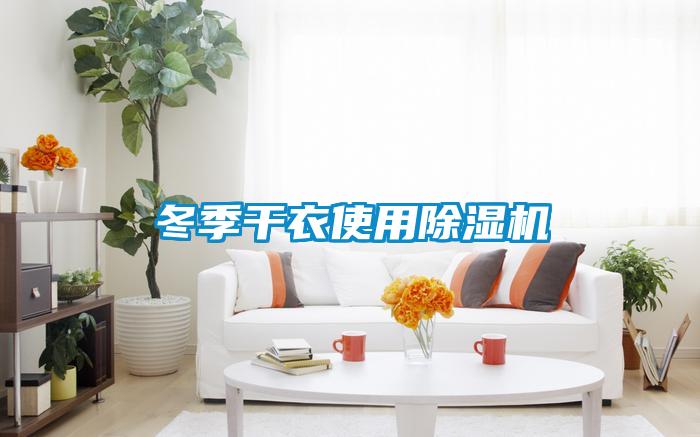 冬季干衣使用除濕機