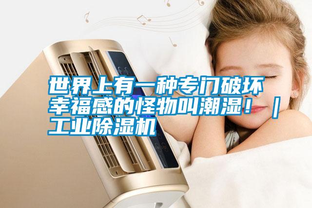 世界上有一種專門破壞幸福感的怪物叫潮濕！｜工業(yè)除濕機