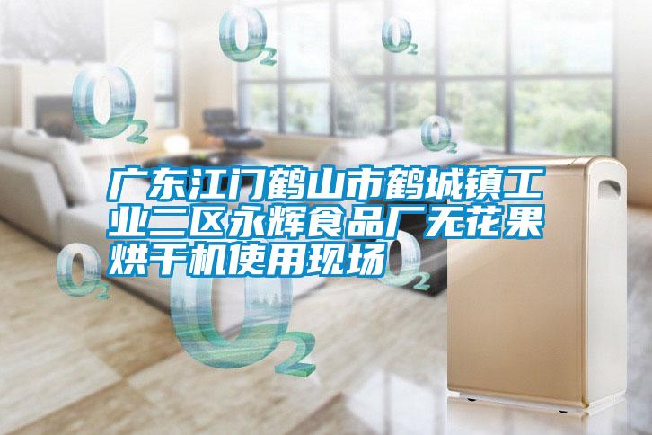 廣東江門鶴山市鶴城鎮(zhèn)工業(yè)二區(qū)永輝食品廠無花果烘干機使用現場