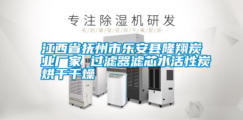江西省撫州市樂(lè)安縣隆翔炭業(yè)廠家 過(guò)濾器濾芯水活性炭烘干干燥