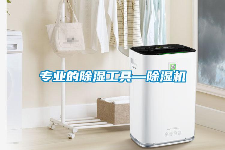 專業(yè)的除濕工具—除濕機