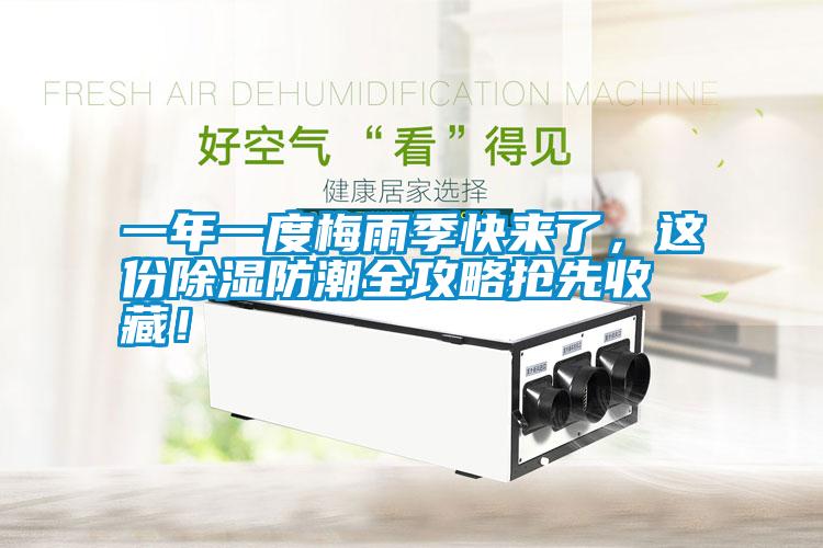 一年一度梅雨季快來了，這份除濕防潮全攻略搶先收藏！
