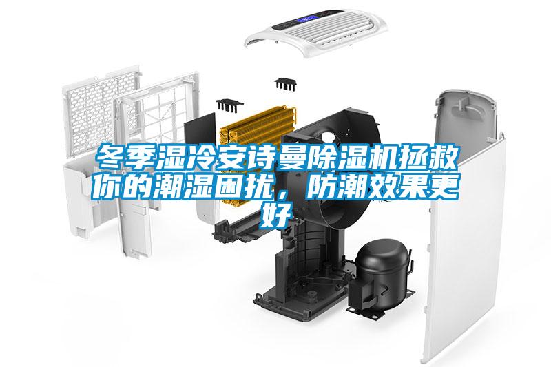冬季濕冷安詩曼除濕機拯救你的潮濕困擾，防潮效果更好