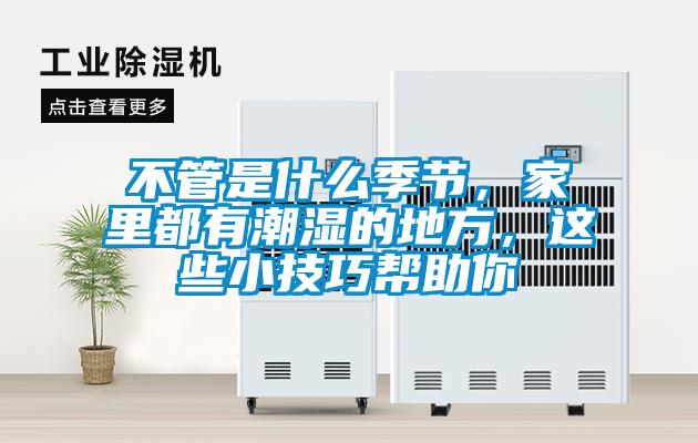 不管是什么季節(jié)，家里都有潮濕的地方，這些小技巧幫助你