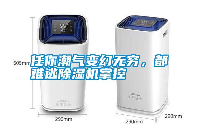 任你潮氣變幻無(wú)窮，都難逃除濕機(jī)掌控