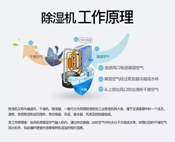 潮濕天氣狗最容易患上這種毛?。∪齻€注意事項，鏟屎官一定要看看