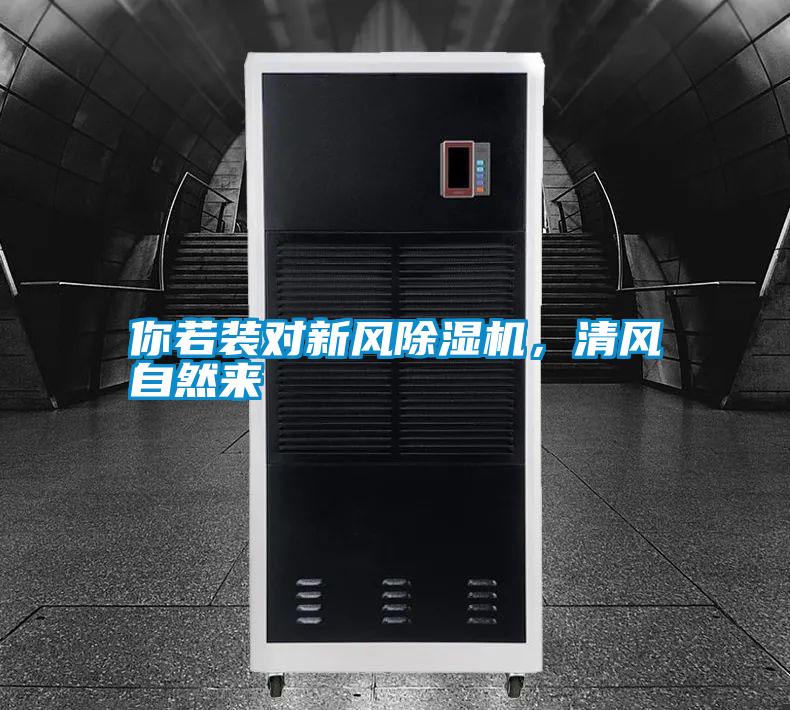 你若裝對(duì)新風(fēng)除濕機(jī)，清風(fēng)自然來