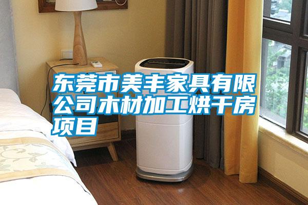 東莞市美豐家具有限公司木材加工烘干房項(xiàng)目