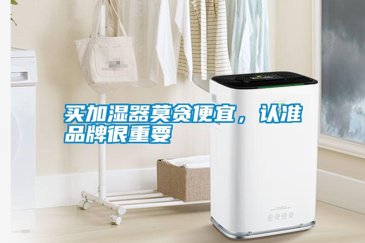 買加濕器莫貪便宜，認準品牌很重要