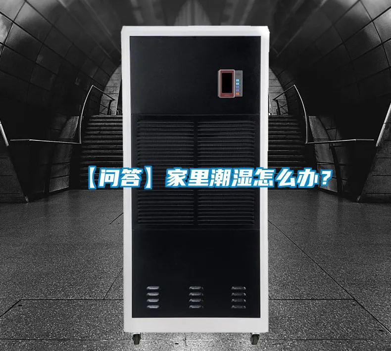 【問答】家里潮濕怎么辦？