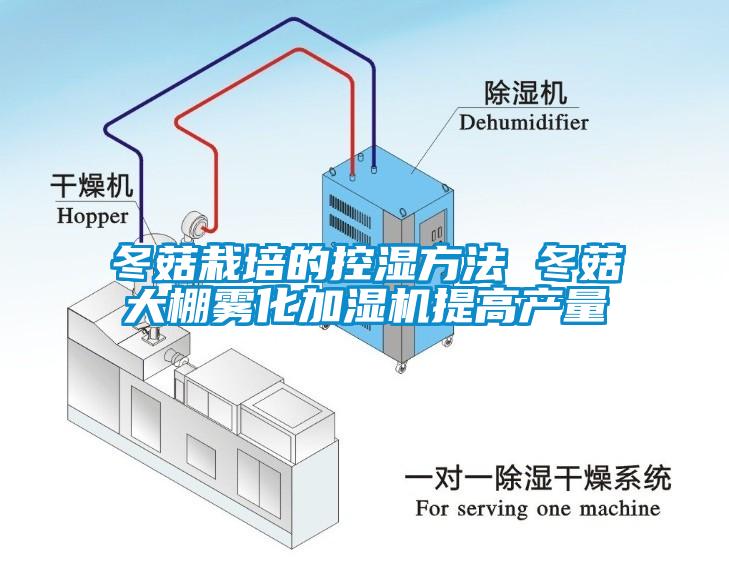 冬菇栽培的控濕方法 冬菇大棚霧化加濕機提高產(chǎn)量
