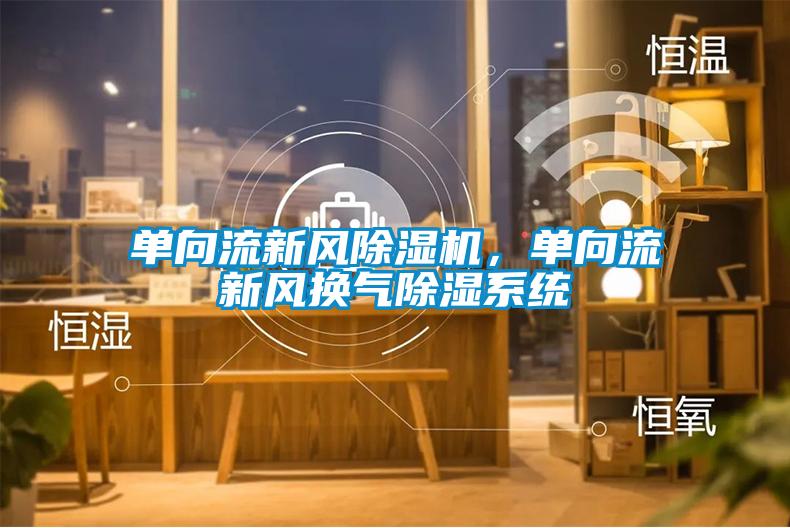 單向流新風除濕機，單向流新風換氣除濕系統