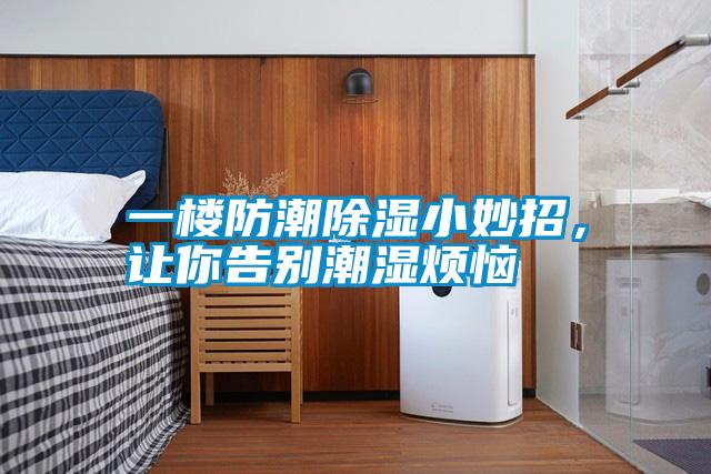 一樓防潮除濕小妙招，讓你告別潮濕煩惱