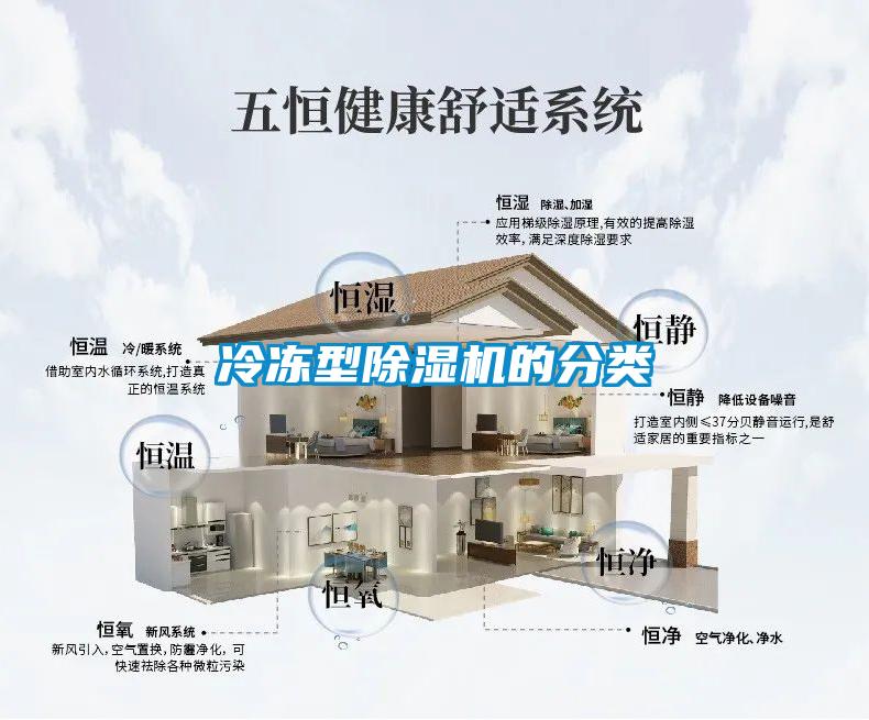 冷凍型除濕機(jī)的分類(lèi)