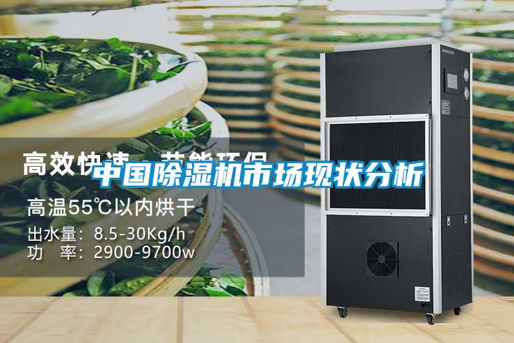 中國(guó)除濕機(jī)市場(chǎng)現(xiàn)狀分析