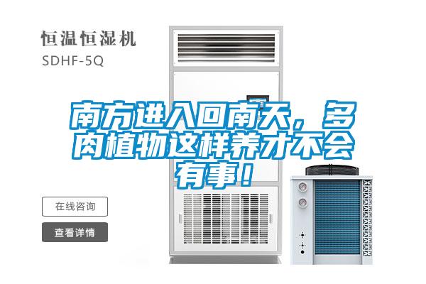 南方進入回南天，多肉植物這樣養才不會有事！