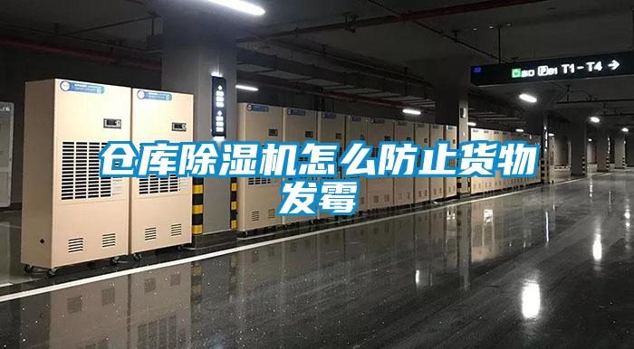 倉(cāng)庫(kù)除濕機(jī)怎么防止貨物發(fā)霉