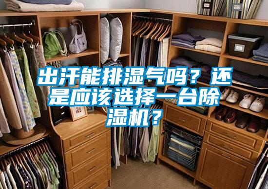 出汗能排濕氣嗎？還是應該選擇一臺除濕機？