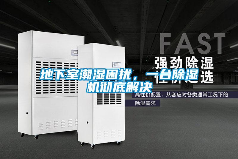地下室潮濕困擾，一臺(tái)除濕機(jī)徹底解決