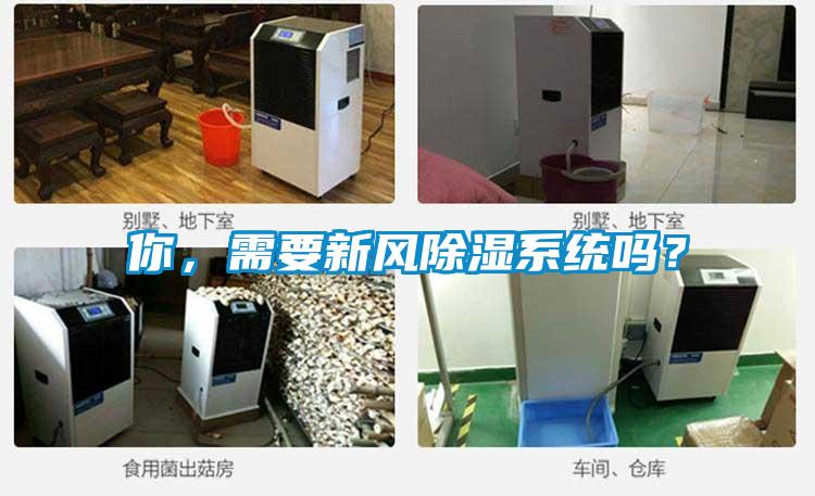 你，需要新風除濕系統嗎？