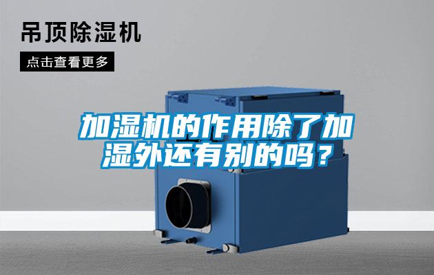 加濕機的作用除了加濕外還有別的嗎？