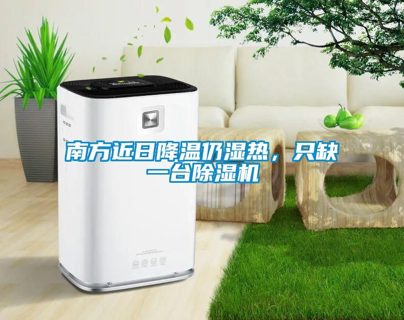 南方近日降溫仍濕熱，只缺一臺除濕機