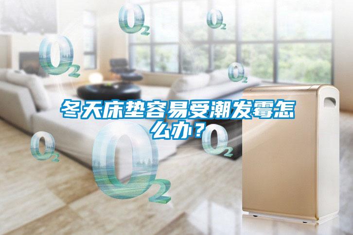 冬天床墊容易受潮發(fā)霉怎么辦？