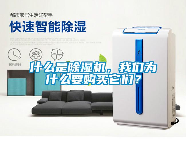 什么是除濕機(jī)，我們?yōu)槭裁匆?gòu)買(mǎi)它們？