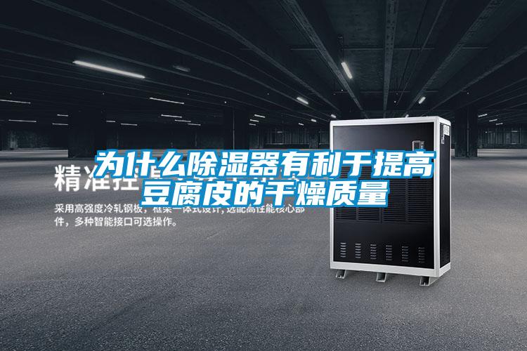 為什么除濕器有利于提高豆腐皮的干燥質量