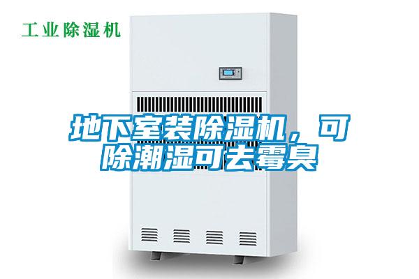 地下室裝除濕機(jī)，可除潮濕可去霉臭