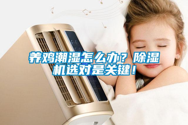 養(yǎng)雞潮濕怎么辦？除濕機(jī)選對(duì)是關(guān)鍵！