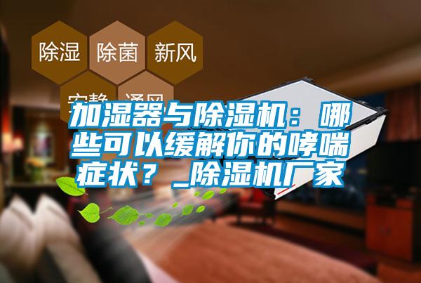 加濕器與除濕機(jī)：哪些可以緩解你的哮喘癥狀？_除濕機(jī)廠家