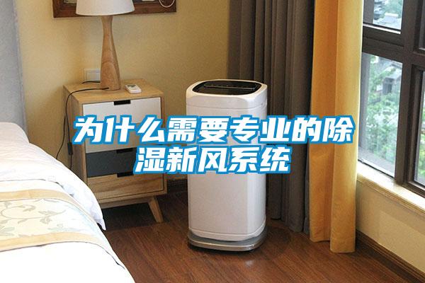 為什么需要專業的除濕新風系統