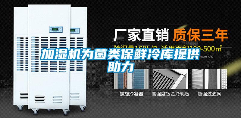 加濕機為菌類保鮮冷庫提供助力