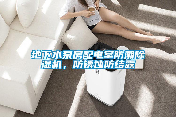 地下水泵房配電室防潮除濕機(jī)，防銹蝕防結(jié)露