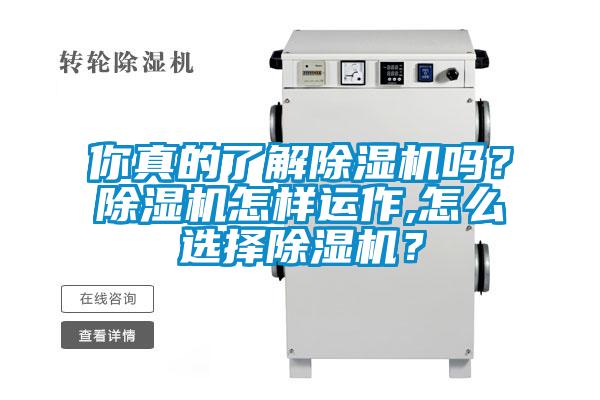 你真的了解除濕機嗎？除濕機怎樣運作,怎么選擇除濕機？