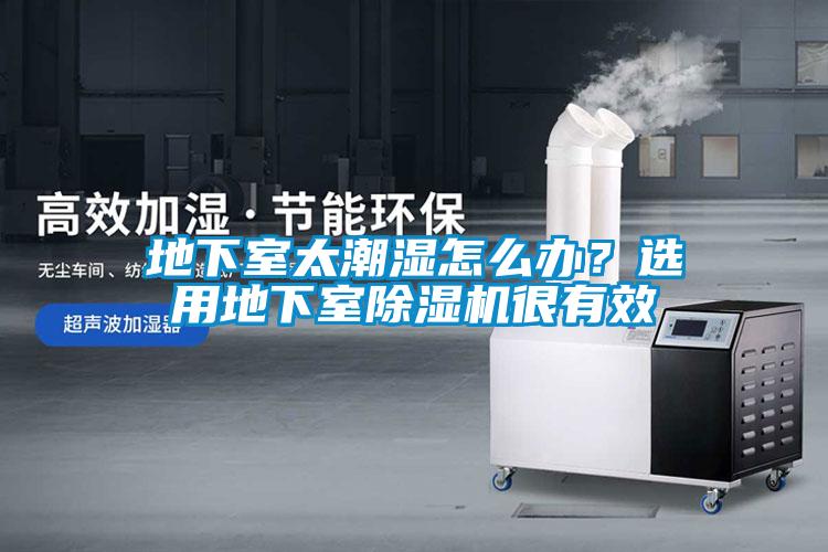 地下室太潮濕怎么辦？選用地下室除濕機(jī)很有效