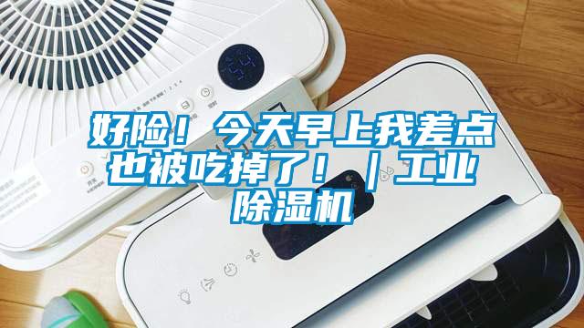 好險！今天早上我差點也被吃掉了！｜工業除濕機