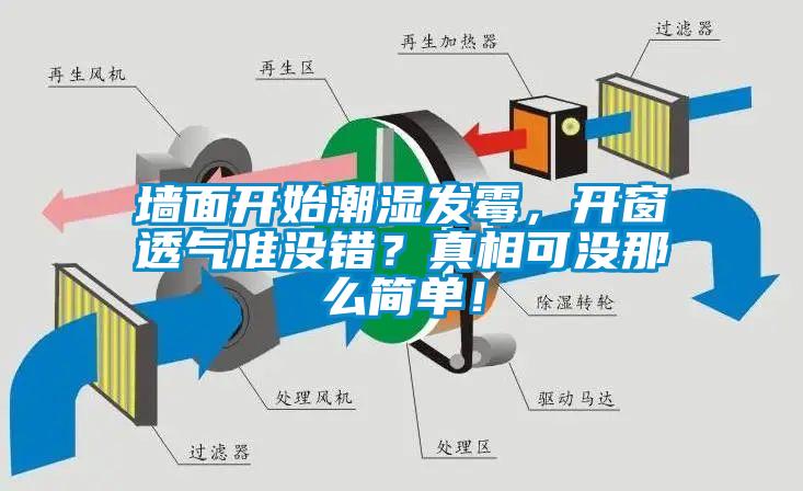 墻面開始潮濕發霉，開窗透氣準沒錯？真相可沒那么簡單！