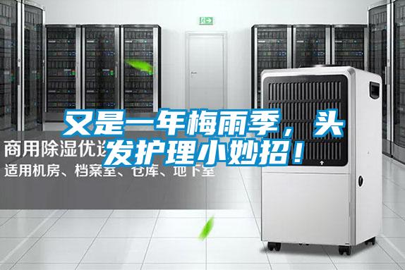 又是一年梅雨季，頭發(fā)護理小妙招！