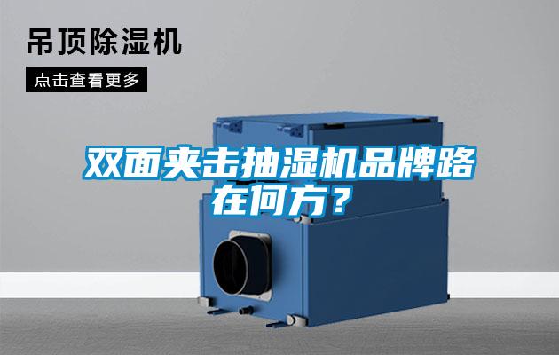 雙面夾擊抽濕機品牌路在何方？