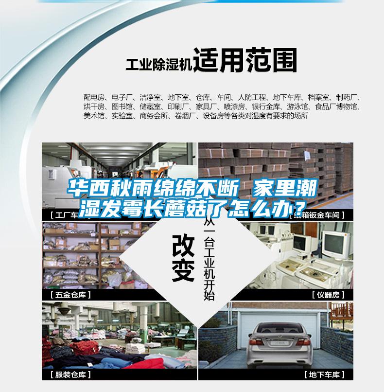 華西秋雨綿綿不斷 家里潮濕發霉長蘑菇了怎么辦？