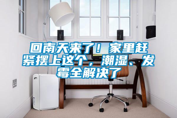 回南天來(lái)了！家里趕緊擺上這個(gè)，潮濕、發(fā)霉全解決了