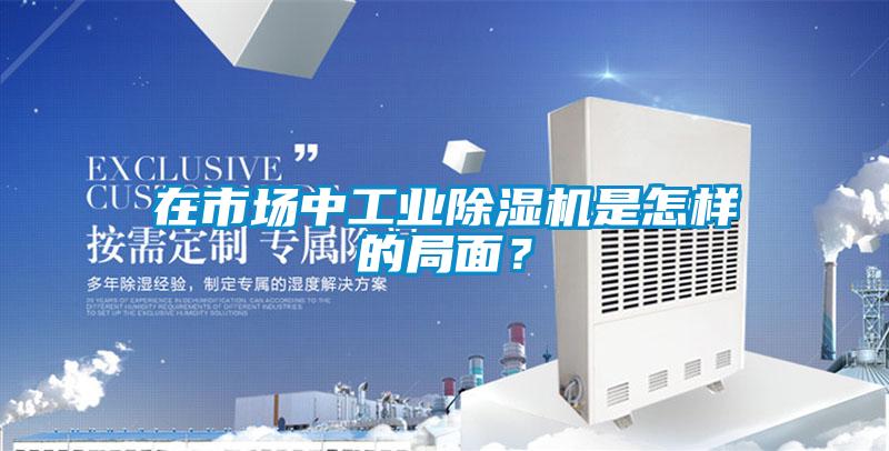 在市場中工業(yè)除濕機是怎樣的局面？