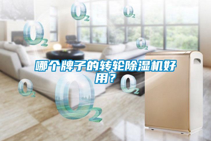 哪個(gè)牌子的轉(zhuǎn)輪除濕機(jī)好用？