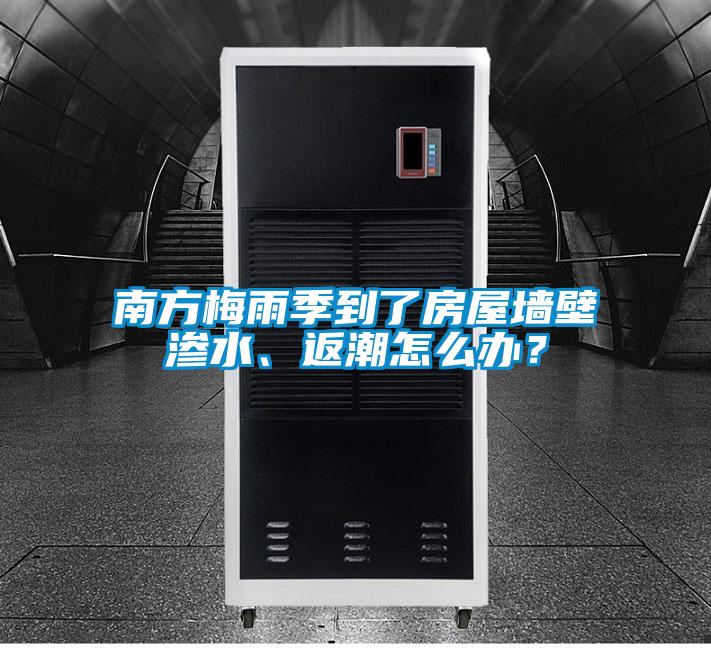 南方梅雨季到了房屋墻壁滲水、返潮怎么辦？