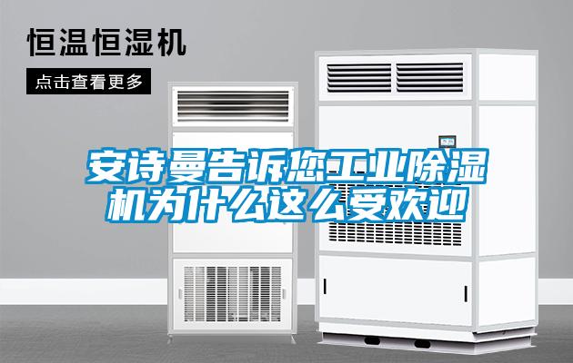 安詩曼告訴您工業除濕機為什么這么受歡迎